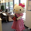 키티 이미지