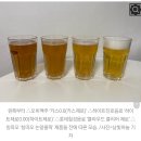 [리뷰] 알코올 없는 술, ‘무알콜·비알콜’ 맥주 4종 마셔보니 이미지