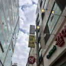 부평문화로53번길 | [부평야장] 막걸리집개코네에서 내돈내산 부평 낮술