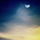 달이 떴다고 전화를 주시다니요 이미지