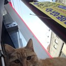 에이치디현대오일뱅크(주)직영 기흥현대셀프주유소 | 평택우리메디의원 3주차 찐 후기 지금도 진행중