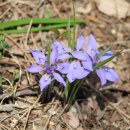 헌복동1 이미지