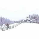 풍진목장 이미지