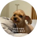 팔팔껍데기 신설동점 | 내돈! 소고기전골이 먹고싶다면-옥된장 신설동역점 동네주민의 솔직 후기