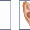 에바다보청기 이미지