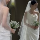 헬레나헤어라인 | 2026, WEDDING 헬레나브라이덜 지정 본식드레스피팅 후기(이명순, 베라왕, 율란크리스 등)