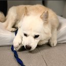 만수6동-3 이미지