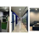 킹덤스포렉스 이미지