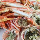 여시초대게물회 이미지