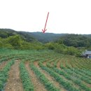 동해시-01 이미지