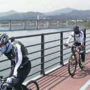 자라섬자전거대여소 이미지