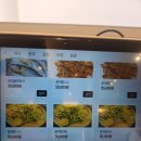 보검꽃게장