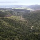 숲이그린집 이미지