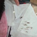큐티 에스테틱