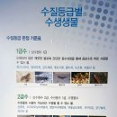 금강얼음 이미지