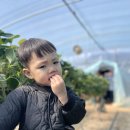 부덕농장 이미지