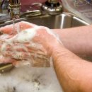 바이러스 이미지