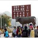 김정숙 황토식품