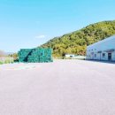 법인대복