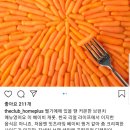 요상한 홈플러스 더 클럽 인스타 마케팅 이미지