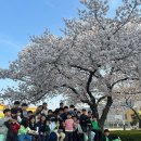 용인대 리더태권도장 이미지