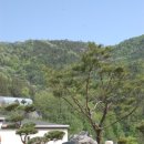 충북조경 이미지