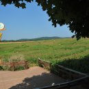 들판농장 이미지