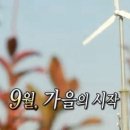 돼식가 - 세종특별자치시 나성로 125-10 | 돼식가