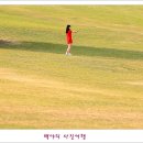 평화마루 이미지