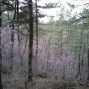 아름따다 이미지