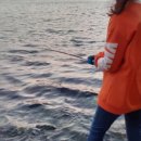 남해-306 이미지