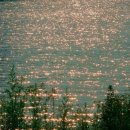 무신사 개러지 이미지