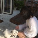 햇살테라스 이미지