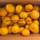 질러 | 토스 쇼핑 15만원 쿠폰팩으로 소소하게 질러 본 쇼핑 택배 후기