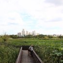 여주-0913 이미지