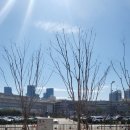 세종청사 11동_1 이미지