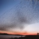 차령산맥 이미지