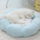 고양이방석 코헵스 고양이 플라워 쿠션 포옥~