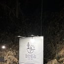 별이보이는펜션 | 보은펜션 대청호 별이 잘 보이는 보은숙소 파인트리 밤하늘방 후기