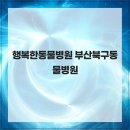행복한 동물병원 네이버블로그