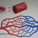 청춘과일 - 사상구 사상로336번길 26 | 청춘과일