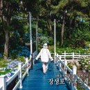 울산 장생포 수국 축제 고래문화마을 6월 꽃축제 꽃구경