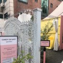 셀피스타일