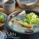 구영초등학교 | 울산 삼계탕 맛집 성민준삼계탕 복날 몸보신하기 좋은 울주군 밥집 솔직 후기