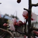 바람섬 이미지