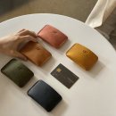 소마르(Somar)