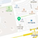 다미보화 이미지