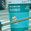 CU 구리돌다리점 | 🤯 봄이 왔다가 갔다가 사람을 녹였다가 얼렸다가 날씨가 이랬다가 저랬다가
