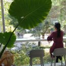 부칸산837 이미지