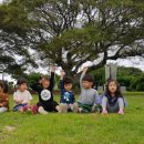표선초등학교 이미지